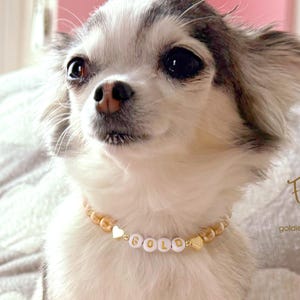 Collar para perro con corazones de oro de 14 quilates y perlas color champán / Dije personalizado para collar de gato / Joyería de lujo para mascotas imagen 5