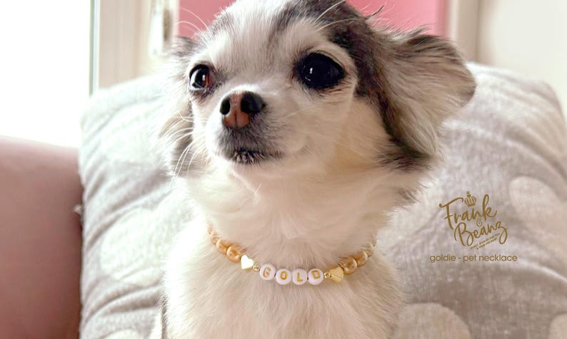 Collar para perro con corazones de oro de 14 quilates y perlas color champán / Dije personalizado para collar de gato / Joyería de lujo para mascotas imagen 5