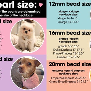 Collar para perro con corazones de oro de 14 quilates y perlas color champán / Dije personalizado para collar de gato / Joyería de lujo para mascotas imagen 14