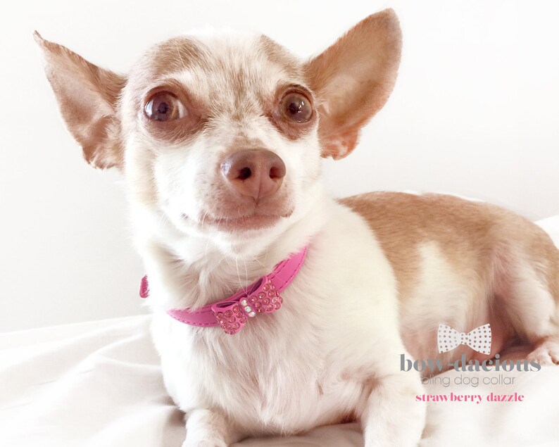 Pink Diamond Dog Collar Bow Tie Dog Collar All Sizes Pet Etsy