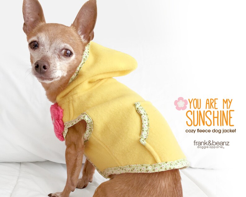 Small Dog Jacket Dog coat Dog hoodie Spring Dog Sweater Etsy