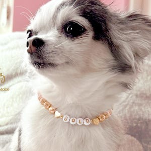 Collar para perro con corazones de oro de 14 quilates y perlas color champán / Dije personalizado para collar de gato / Joyería de lujo para mascotas imagen 2