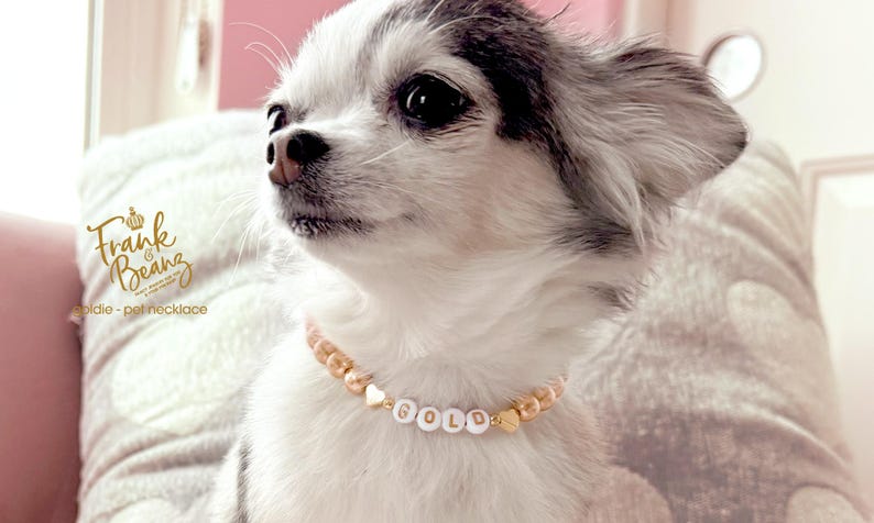 Collar para perro con corazones de oro de 14 quilates y perlas color champán / Dije personalizado para collar de gato / Joyería de lujo para mascotas imagen 2