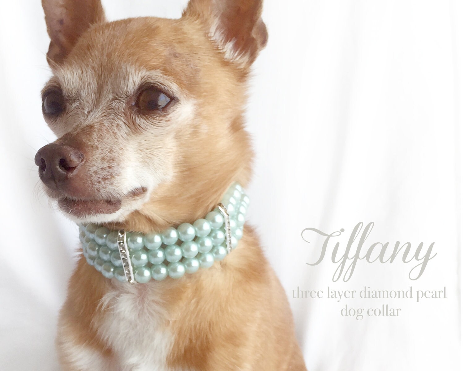 Tiffany Three Layer Pearl Dog Collar Dog Necklace Diamond Cat 