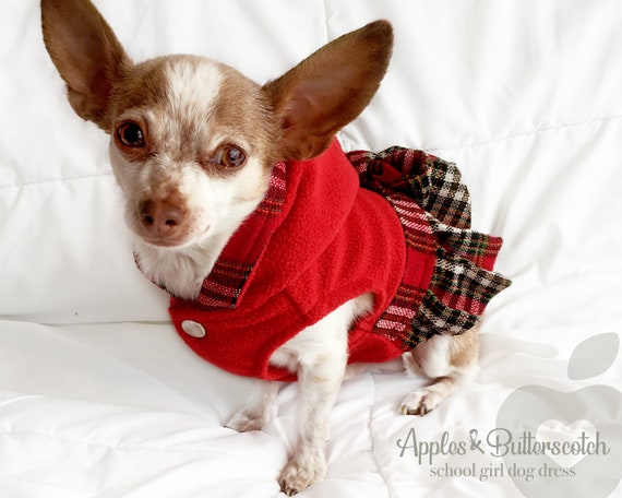 ladies dog sweater