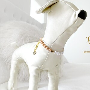 White dog mannequin wearing a champagne pearl dog necklace with 14K gold heart accents, personalized with gold and white letter beads spelling “GOLDIE”. Chain extender with a heart charm engraved with "made with love", standing on a white bed in a bright bedroom.