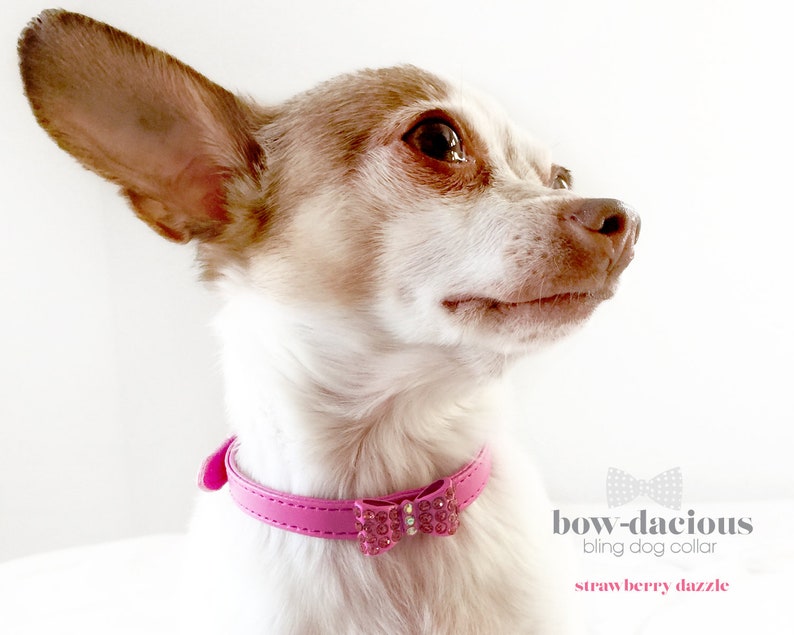 Pink Diamond Dog Collar Bow Tie Dog Collar All Sizes Pet Etsy