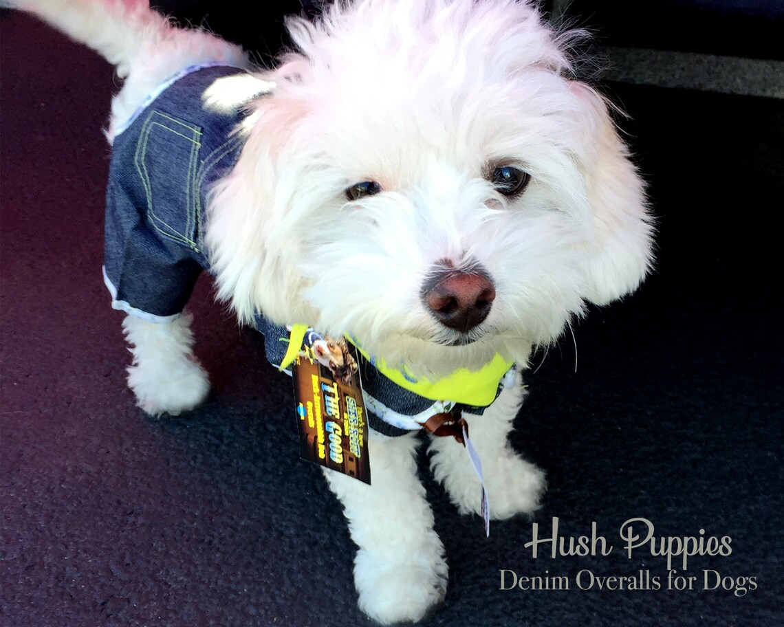 Denim Dog Pants Western Jeans for Dogs Dog Pants Blue Jeans Etsy