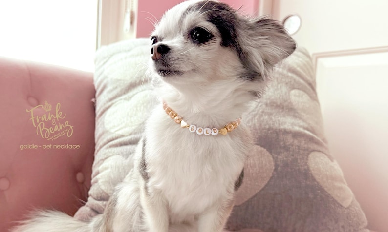 Collar para perro con corazones de oro de 14 quilates y perlas color champán / Dije personalizado para collar de gato / Joyería de lujo para mascotas imagen 3