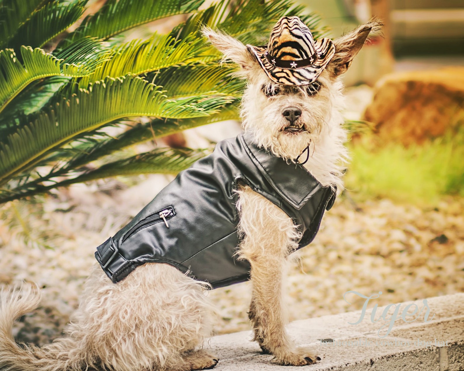 Tiger Print Cowboy Dog Hats Dog Hats Tiger Cowboy Puppy Hat Etsy