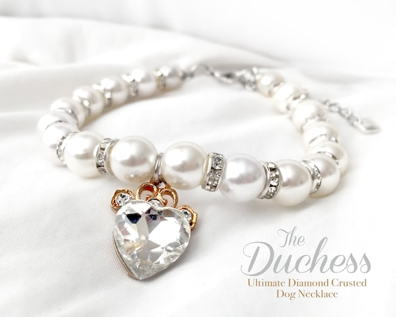 puppy diamond collars