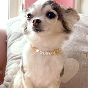 Collar para perro con corazones de oro de 14 quilates y perlas color champán / Dije personalizado para collar de gato / Joyería de lujo para mascotas imagen 6