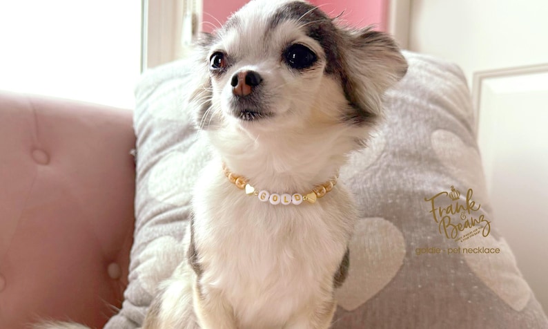 Collar para perro con corazones de oro de 14 quilates y perlas color champán / Dije personalizado para collar de gato / Joyería de lujo para mascotas imagen 6