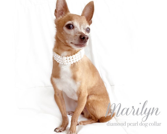 real diamond dog collar