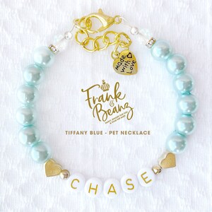 May include: Tiffany blue pet necklace with gold beads and a heart charm that says "Made with Love". The necklace also has a gold charm with the text "Frank & Beanz" and a name tag that says "CHASE".