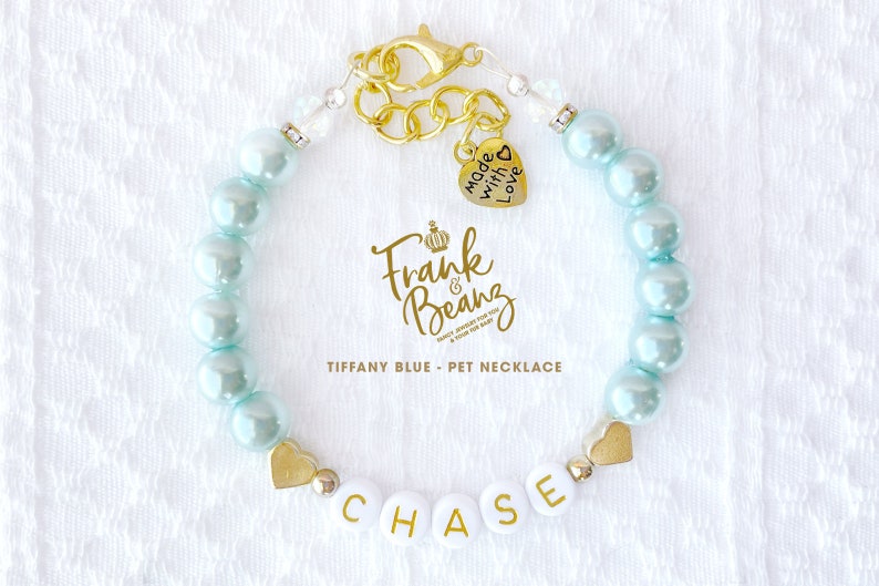 May include: Tiffany blue pet necklace with gold beads and a heart charm that says "Made with Love". The necklace also has a gold charm with the text "Frank & Beanz" and a name tag that says "CHASE".