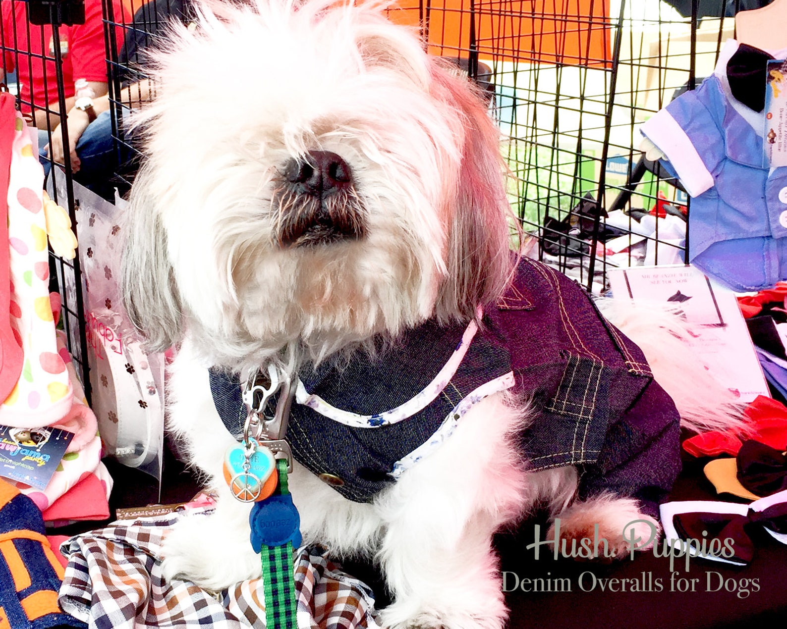 Denim Dog Pants Western Jeans for Dogs Dog Pants Blue Jeans Etsy