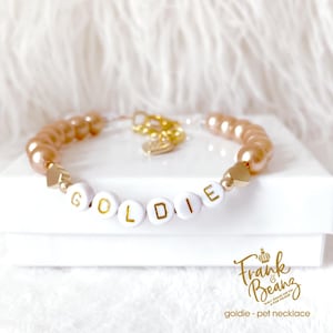 Champagne pearl pet necklace with 14k gold heart charms, personalized with white and gold letter beads that spell the name 'GOLDIE'. The necklace is on a white gift box with Frank & Beanz logo.