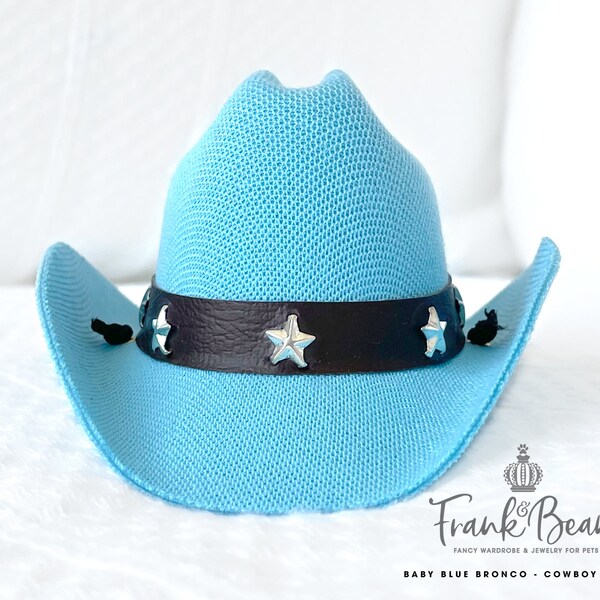 Baby Blue Bronco Canvas Cowboy Dog Hats for Small Medium Dogs Costumes for Pet Western Pet Costumes Purple Hats for Dogs Pet Accessories