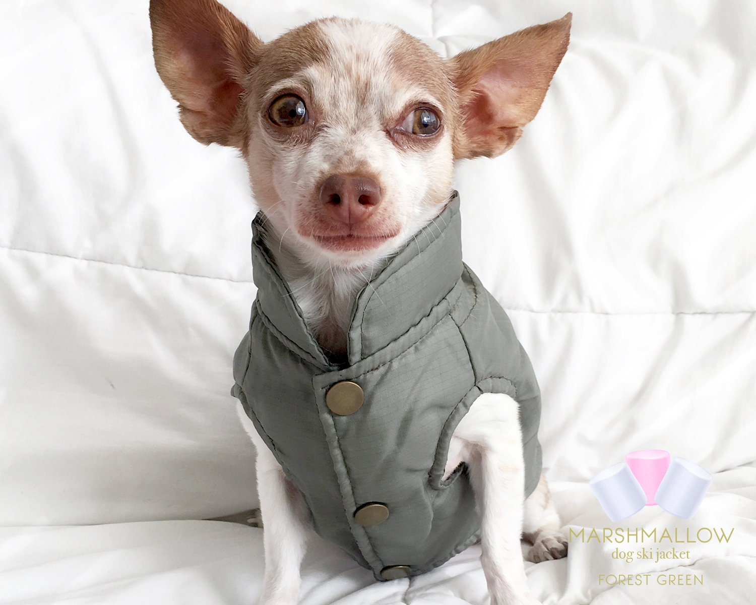 Hunter Green Dog Ski Jacket Winter Dog Coats Dog Coats Dog Etsy