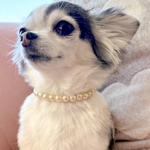 Collar de perla marfil para mascotas, collar de perla elegante para perro, collar personalizado con nombre de gato, collar para niña, collar para perro, collar para niña, collar para gato