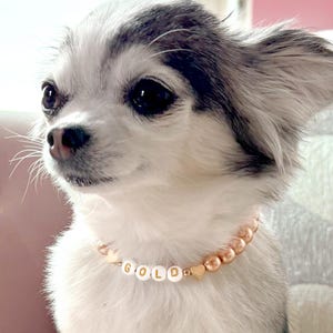 Collar para perro con corazones de oro de 14 quilates y perlas color champán / Dije personalizado para collar de gato / Joyería de lujo para mascotas imagen 8
