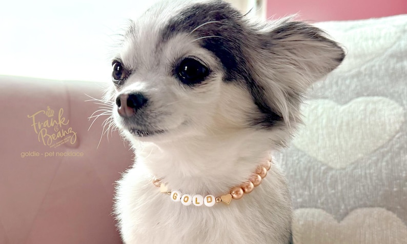 Collar para perro con corazones de oro de 14 quilates y perlas color champán / Dije personalizado para collar de gato / Joyería de lujo para mascotas imagen 8