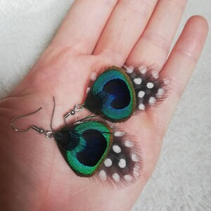 Boucles d'oreilles plume de Pintade et de Paon. image 3