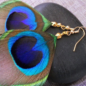 Natural peacock feather earrings, gold plated.