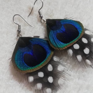 Boucles d'oreilles plume de Pintade et de Paon. image 7