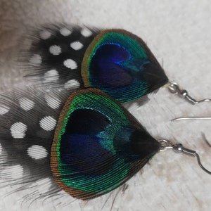 Boucles d'oreilles plume de Pintade et de Paon. image 6