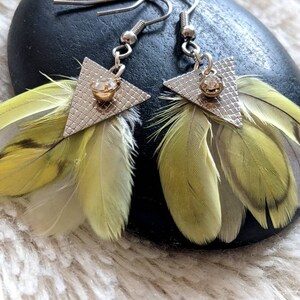 Boucles d'oreilles plumes de Perruche véritables. image 7