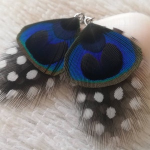 Guinea Fowl and Peacock feather earrings. image 5