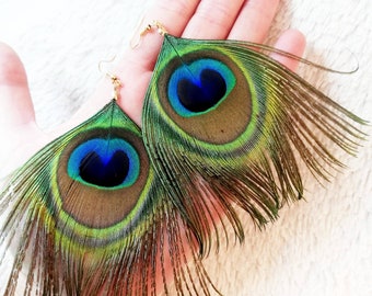 Natural peacock feather earrings, gold plated.