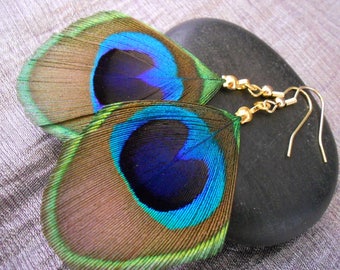 Peacock feather and gold plated earrings.