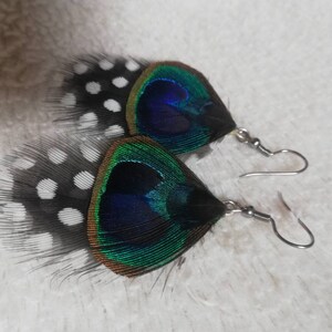 Boucles d'oreilles plume de Pintade et de Paon. image 8