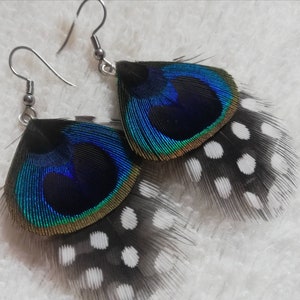 Guinea Fowl and Peacock feather earrings. image 2