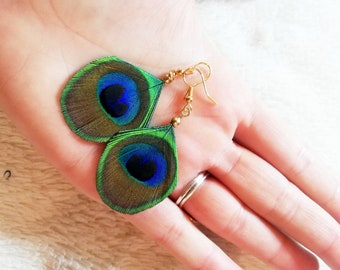 Small earrings in natural peacock feather.