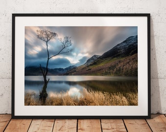 Lake District Landscape Photography, Buttermere tree, mountains, Cumbria, England. Landscape Photo. Mounted print. Wall Art.