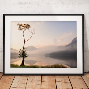 May include: A framed photograph of a solitary tree standing in a misty lake with mountains in the background. The sky is a soft pink and orange colour, and the water is calm and reflective.