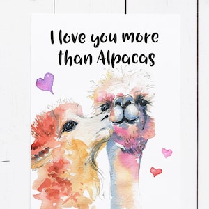 Carte de lama, carte d'anniversaire pour lui mari petit ami, carte drôle de Saint-Valentin, carte de lama, carte de voeux d'alpaga
