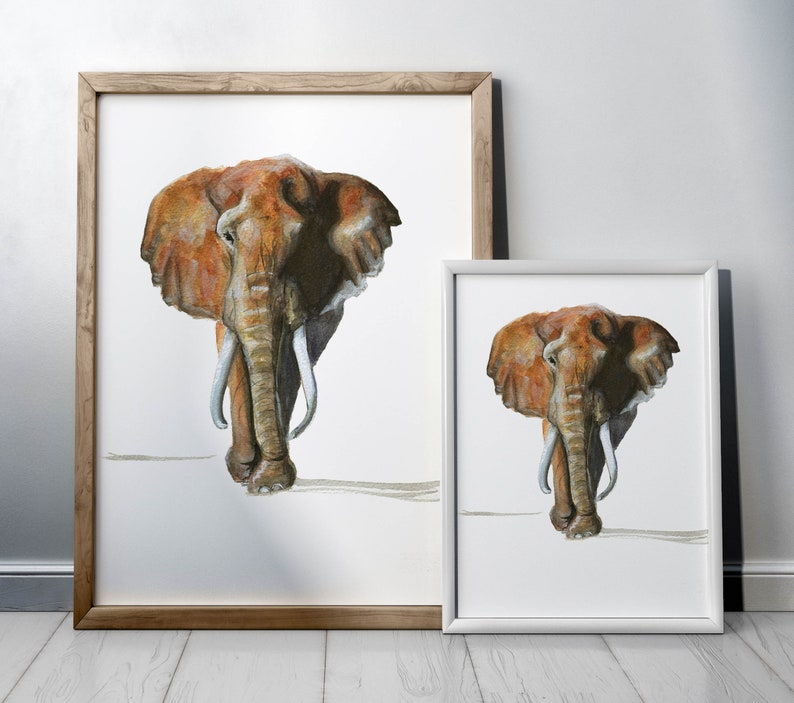 Free Free 316 Elmer Elephant Svg SVG PNG EPS DXF File