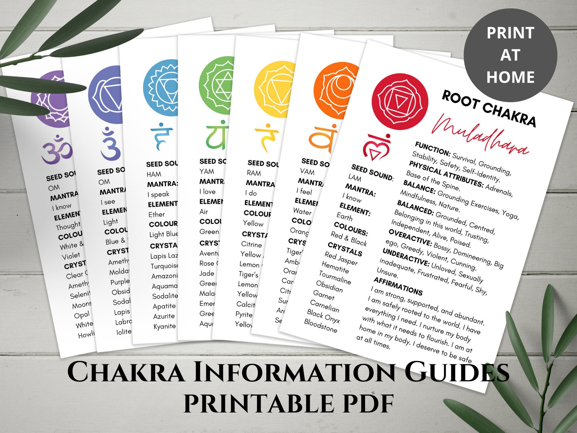 Guía de información sobre los chakras (hoja de referencia, descarga digital en PDF)