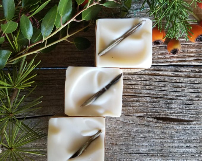 Olive Leaf and Citron: Homegrown Olive oil and Organic Tallow handmade soap