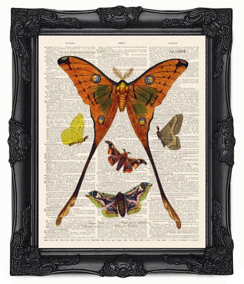 Butterfly dictionary art printWall Decor. Vintage Etsy