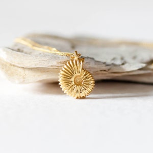 May include: A gold-toned necklace with a detailed, spiral-shaped pendant resembling a seashell. The pendant is textured and has a raised, circular design in the center.