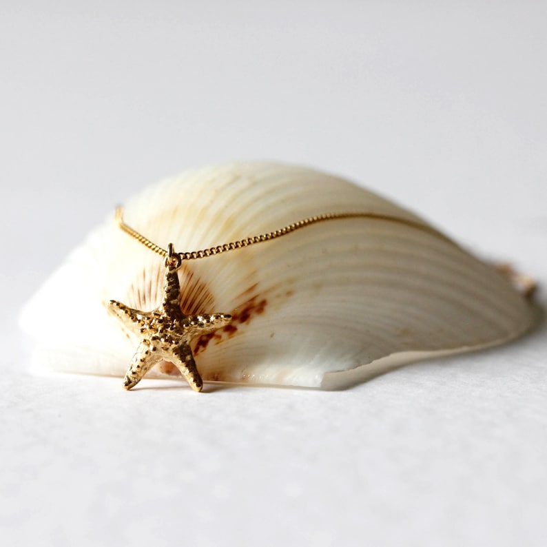 Pode incluir: Um colar de corrente dourada com um pingente de estrela do mar dourada texturizada. O colar &eacute; apresentado em uma concha branca.