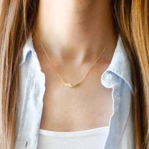 May include: A delicate gold-colored necklace featuring a pair of stylized wings with a small, clear gemstone at the center. The necklace is suspended from a fine chain and rests against a light blue shirt.