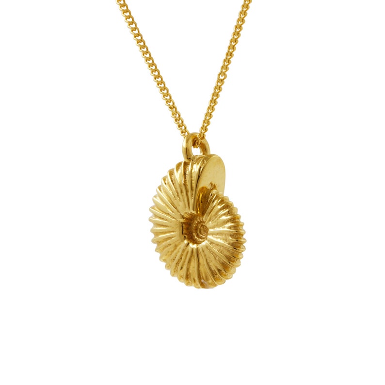 May include: A gold chain necklace with a gold ammonite pendant. The pendant is detailed and has a spiral shape.