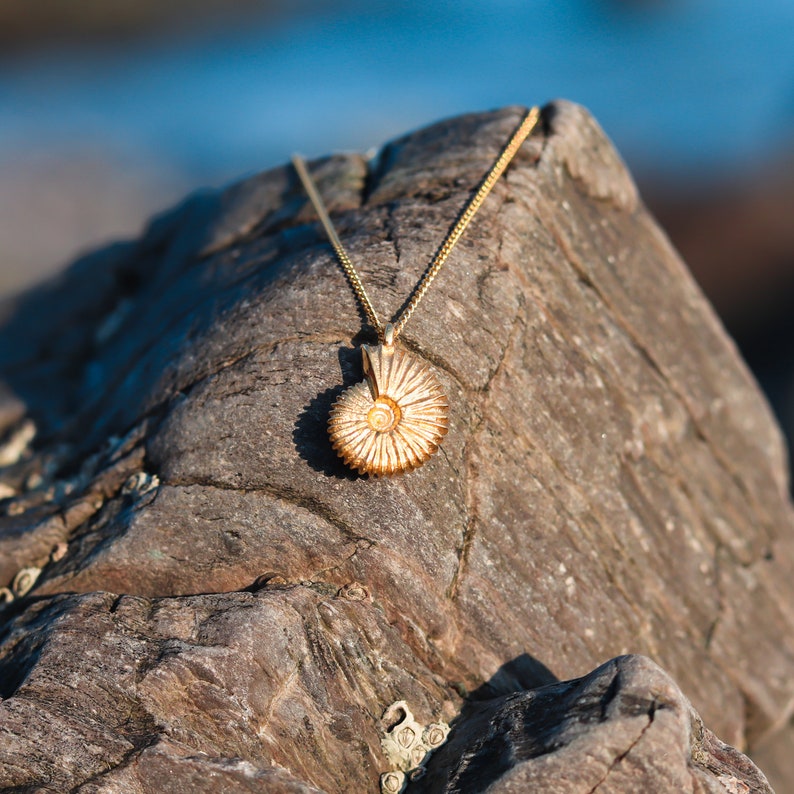 May include: A gold necklace with a detailed ammonite pendant. The necklace is resting on a rough, textured rock.
